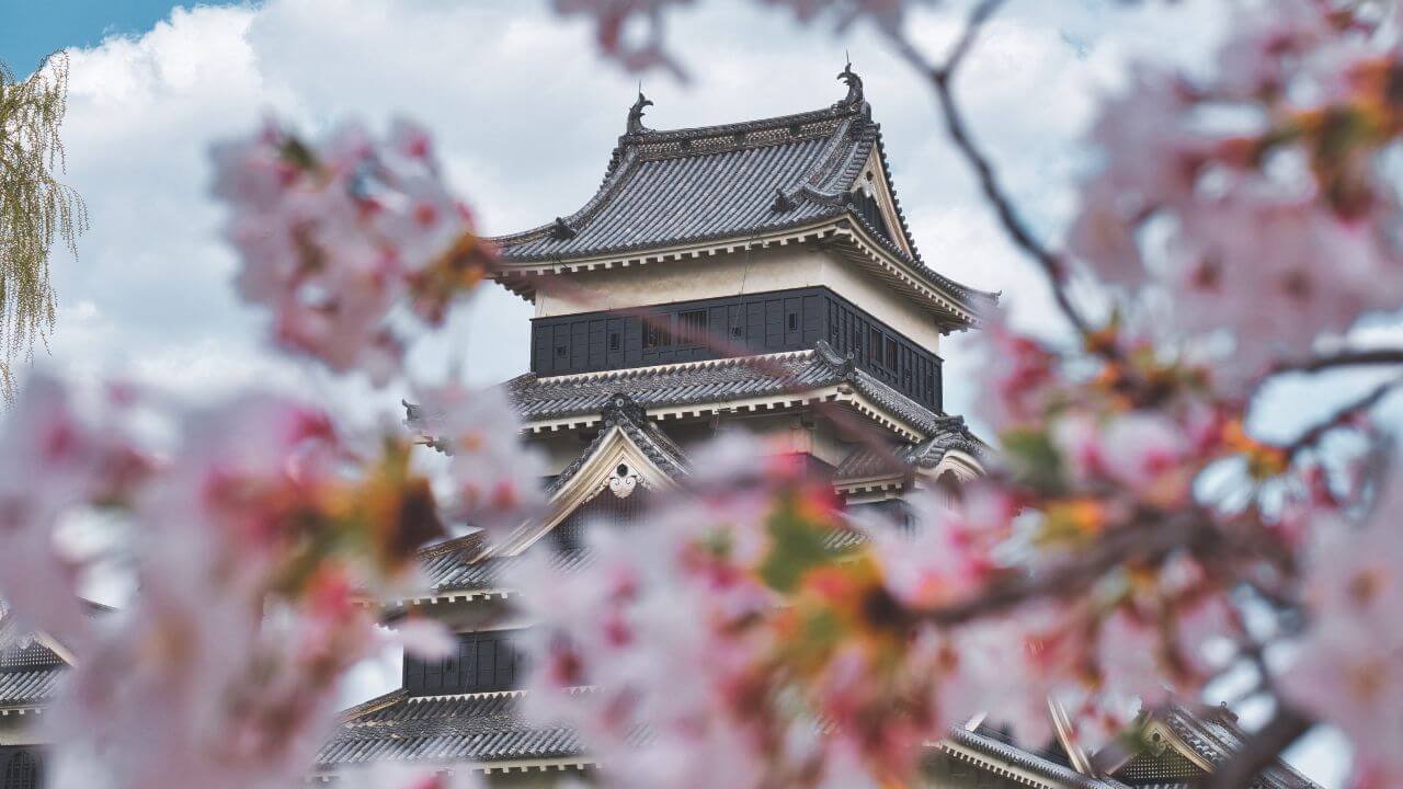 3D Sensoji Tempio, Fiori di ciliegio, Torre di Tokyo Giappone Souvenir magnete frigorifero, decorazione casa e cucina Tokyo Giappone magnete frigorifero